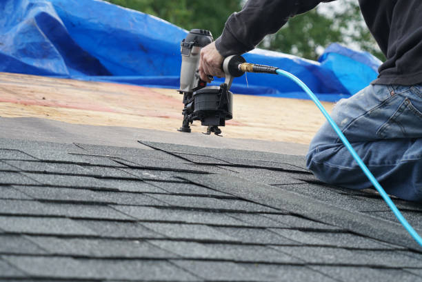 Best Roof Moss and Algae Removal  in Forsyth, MO